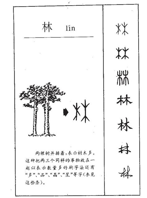 林的意思名字|林字取名寓意